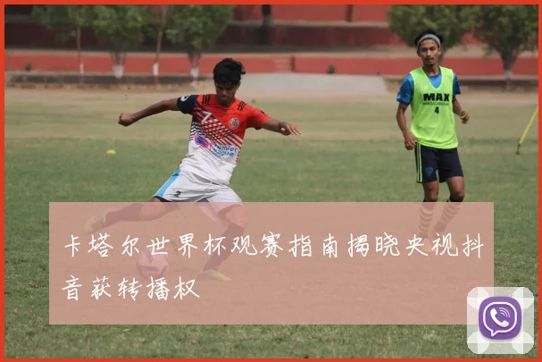 卡塔尔世界杯观赛指南揭晓央视抖音获转播权