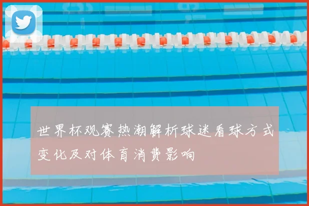 世界杯观赛热潮解析球迷看球方式变化及对体育消费影响