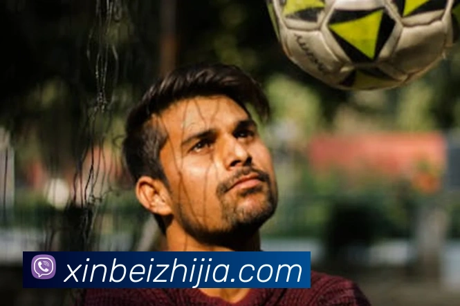 辅助工具 辅助工具